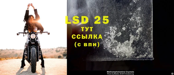 PSILOCYBIN Сатка